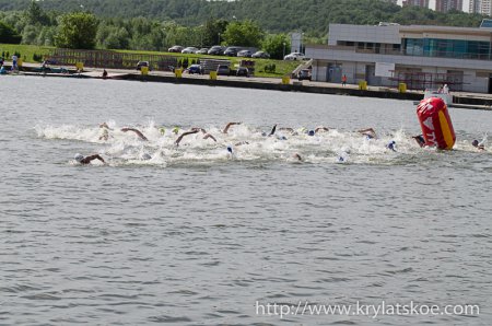Соревнования по плаванью "Кубок Чемпионов" пройдут 31 мая 2015 года на Гребном канале