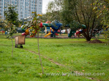 ФОТОРЕПОРТАЖ: уборка осенней листвы в Крылатском