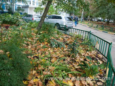 ФОТОРЕПОРТАЖ: уборка осенней листвы в Крылатском