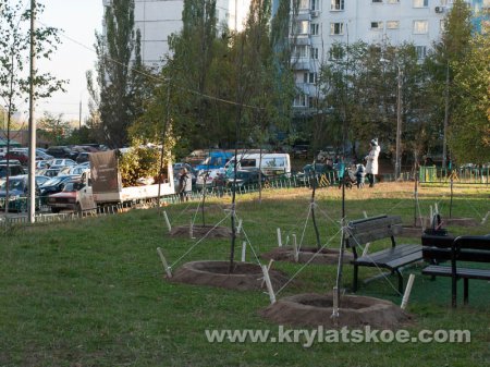 ФОТОРЕПОРТАЖ: Посадки деревьев в Крылатском